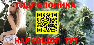 гидропоника Ирбит