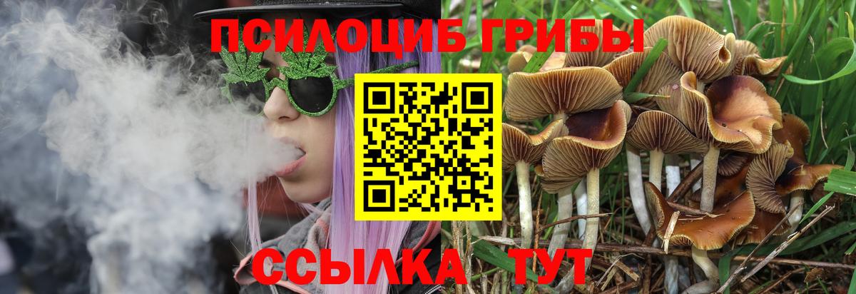 Галлюциногенные грибы мухоморы  Вход с VPN  Дагестанские Огни 